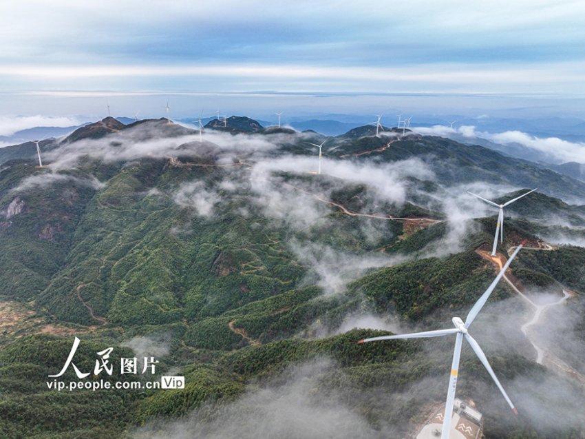 谷器数据荣膺“协作之星”荣誉奖项